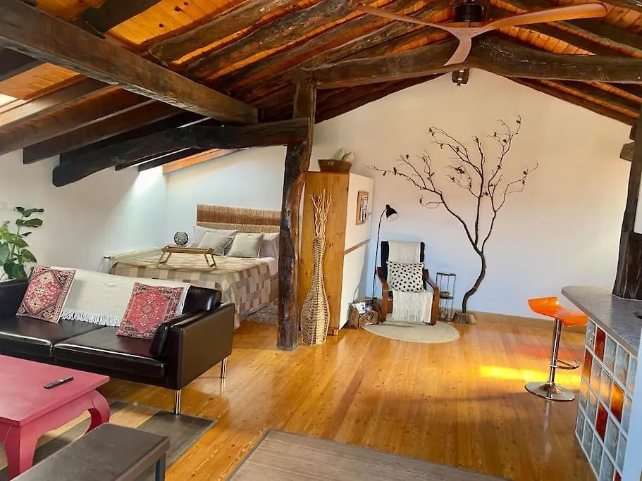 Apartamento Bilbo Near Atico Rural Con Terraza Basauri